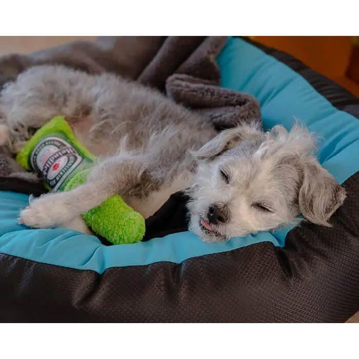 Cycle Dog Duraplush Brewgear Bottles Dog Toy - Talis Us