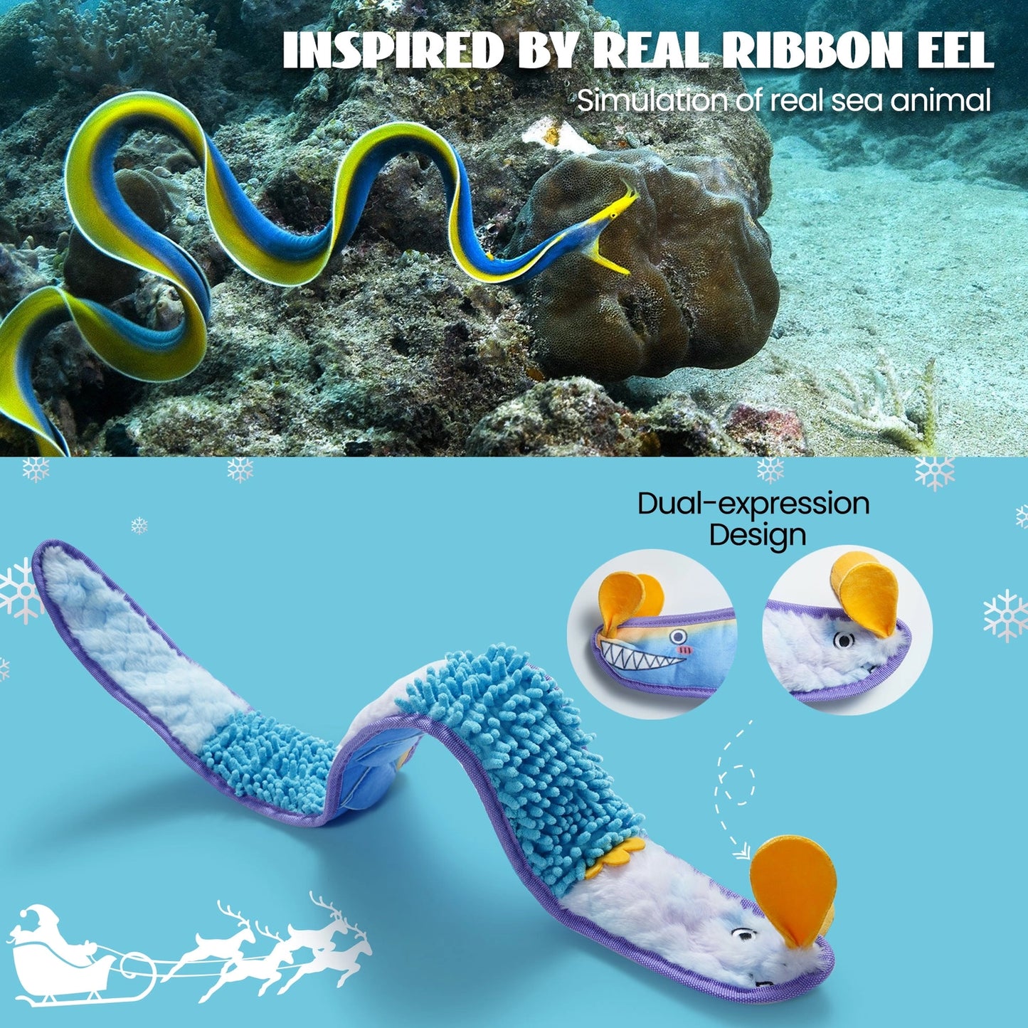 A real ribbon eel swims above coral, while below, Nocciola’s Interactive No-Stuffing Eel Toy—blue plush with a yellow nose and two expressions—stands out. Text notes its “dual-expression design,” realistic look, and treat pockets for enrichment.