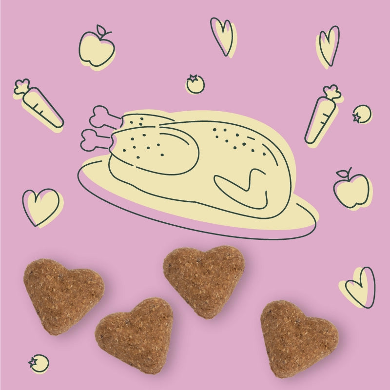 Darford soft baked duck dog treats shaped like hearts on a playful background