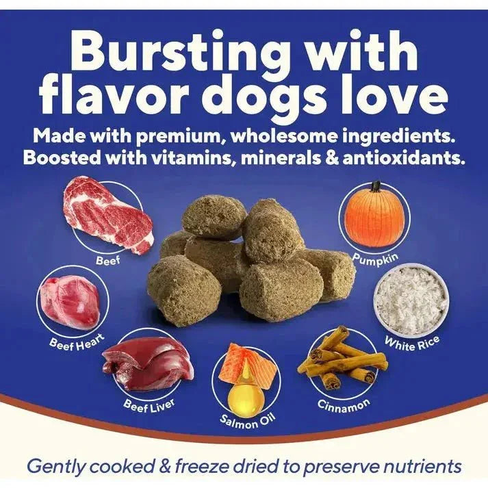 Dave's Digesti - Bites Beef, Rice & Pumpkin Freeze - Dried Dog Treats - Talis Us