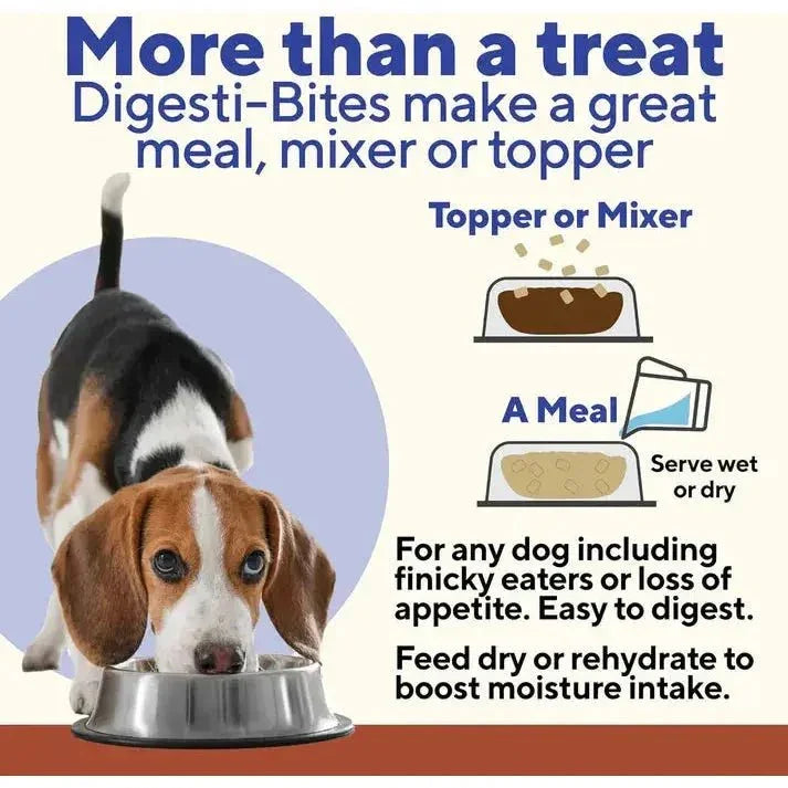 Dave's Digesti - Bites Beef, Rice & Pumpkin Freeze - Dried Dog Treats - Talis Us