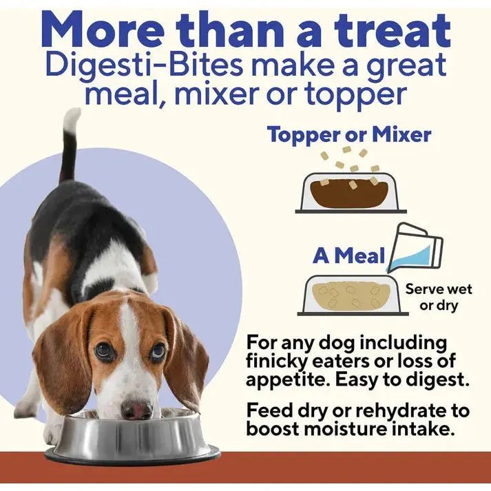Dave's Digesti - Bites Chicken, Rice & Pumpkin Freeze - Dried Dog Treats - Talis Us
