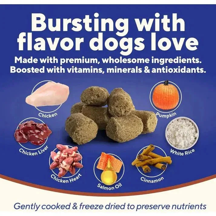 Dave's Digesti - Bites Chicken, Rice & Pumpkin Freeze - Dried Dog Treats - Talis Us