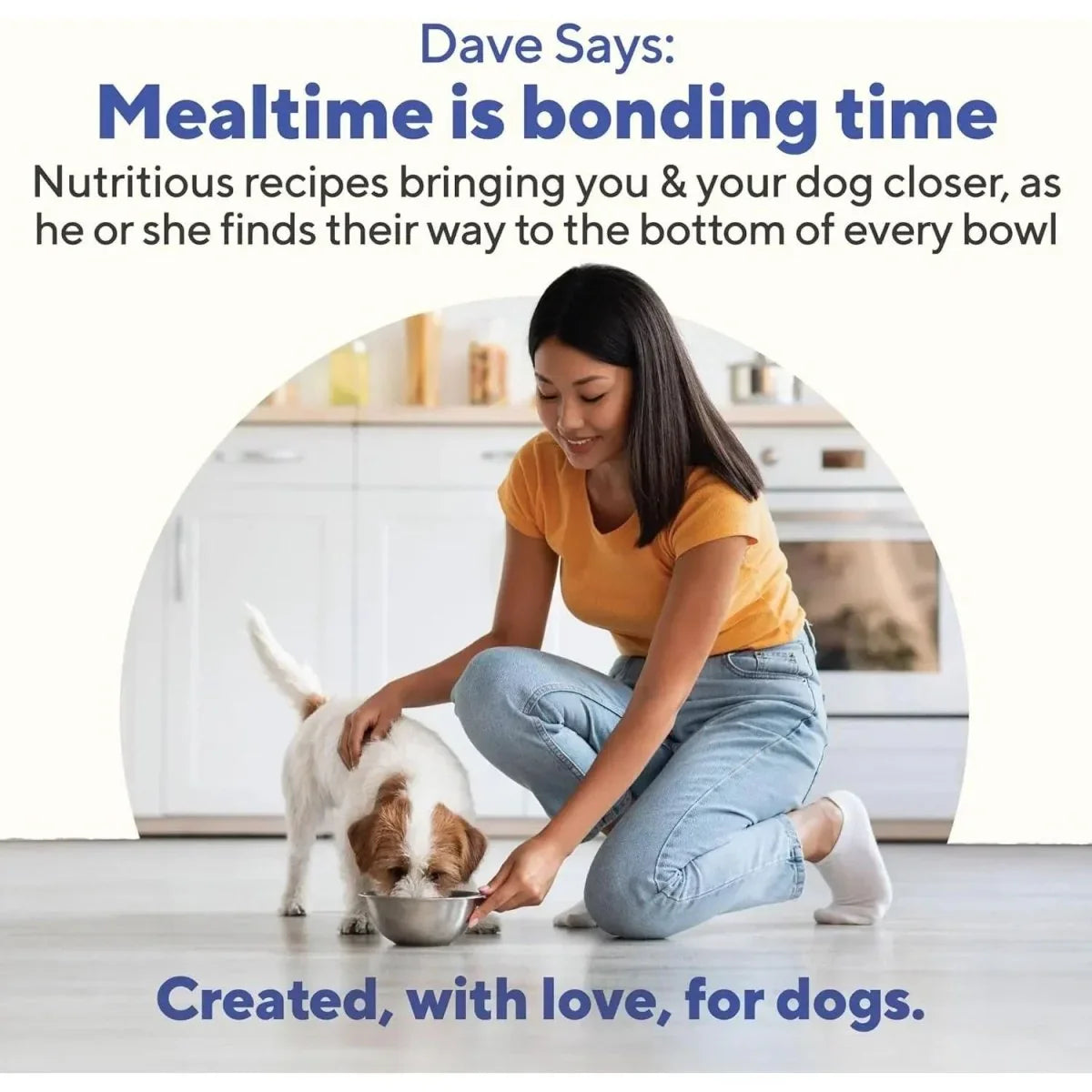 Dave's Pet Food Grain - Free Pork & Sweet Potato Entree Healthy Canned Dog Food 13oz/12ct - Talis Us