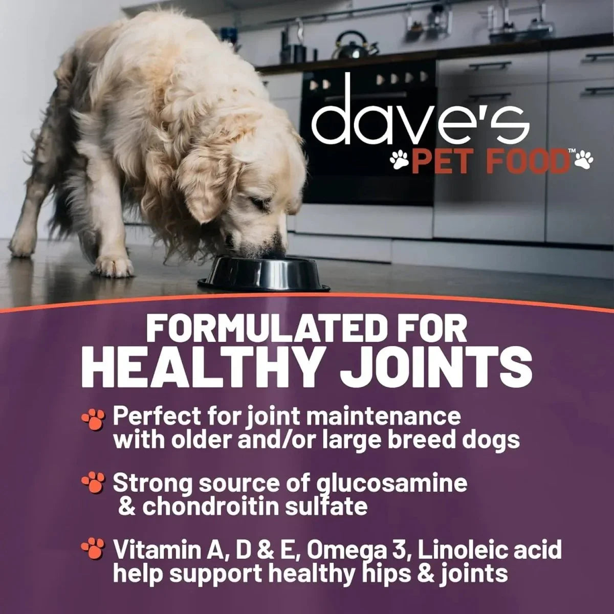 Dave's Pet Food Hip & Joint Support with Glucosamine, Chicken, Duck & Turkey Recipe Wet Dog Food 12ea/13 oz - Talis Us