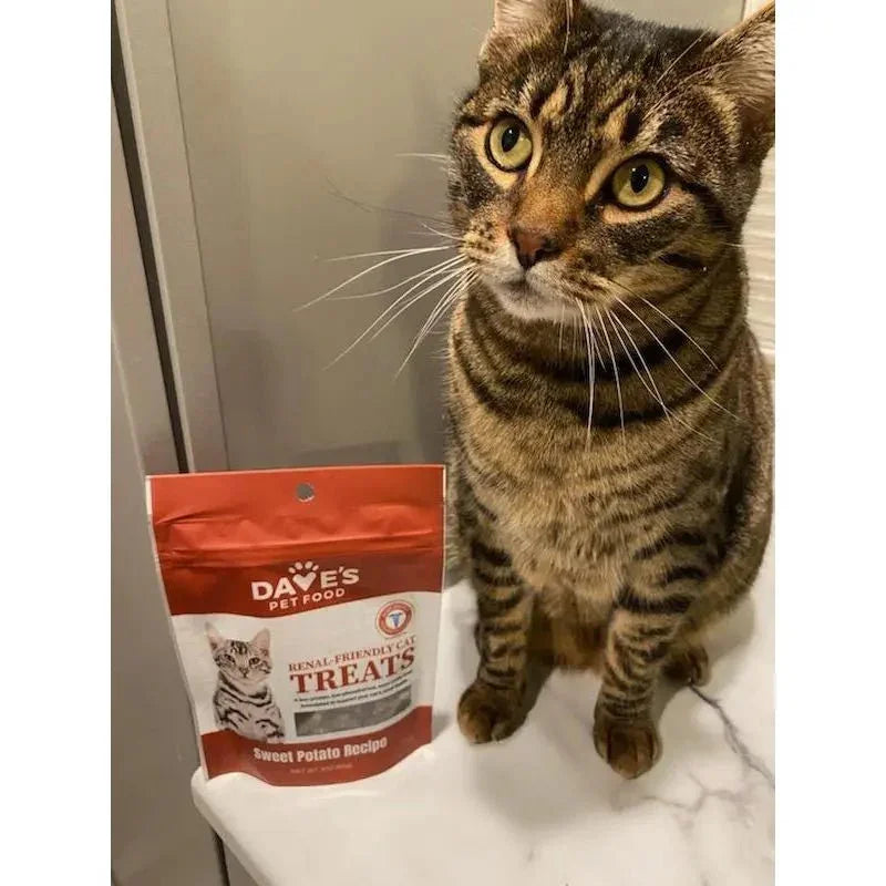 Dave's Pet Food Renal - Friendly Sweet Potato Grain - Free Soft & Chewy Cat Treats - Talis Us