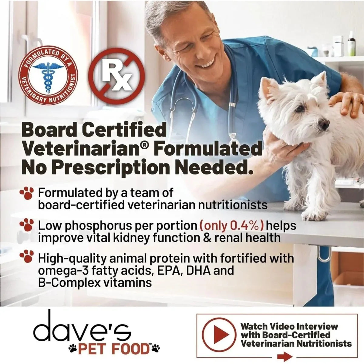 Dave's Pet Food Restricted Phosphorus Chicken Formula Kidney Support Dog Food 4LB - Talis Us