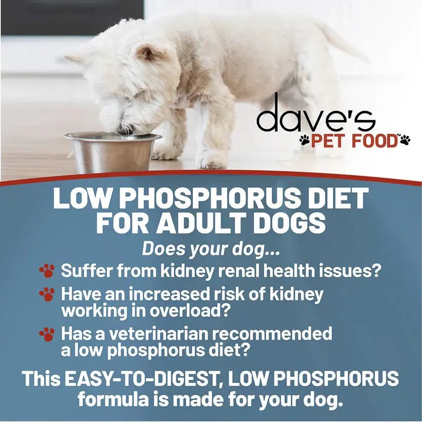 Dave's Pet Food Veterinarian Formulated Restricted Phosphorus & Protein Kidney Support, Tuna Pate in Gravy Wet Dog Food - Talis Us