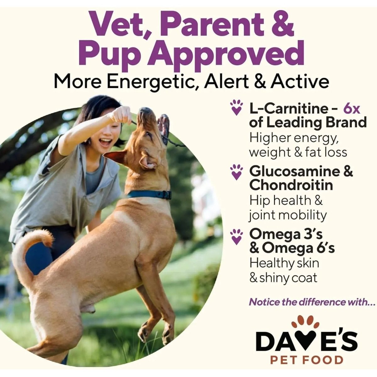 Dave's Pet Food Weight Management Turkey & Vegetables Recipe Pate Wet Dog Food 12ea/13 oz - Talis Us