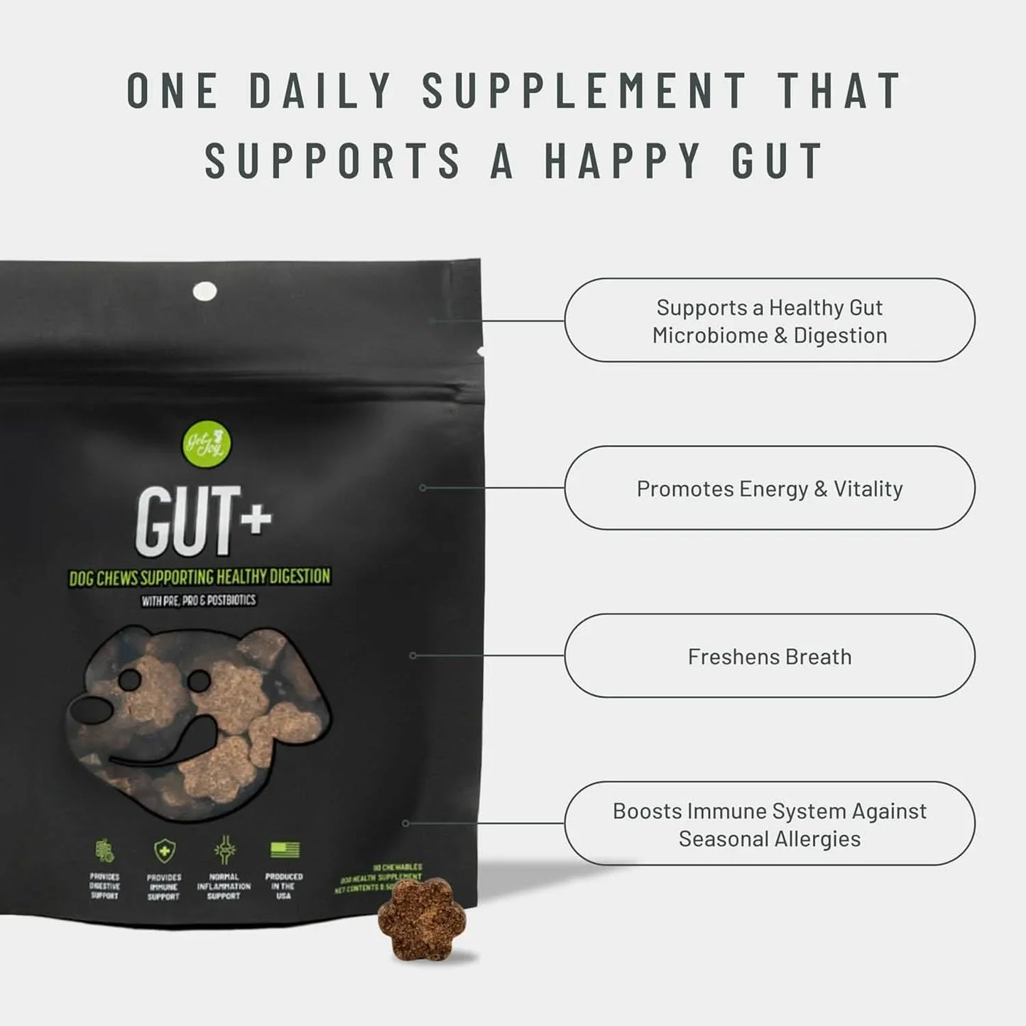 Get Joy dog digestive health supplement chews in a bag, promoting gut health and vitality for dogs