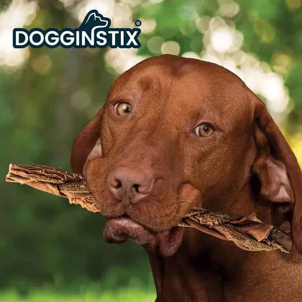 Dogginstix Braided Beef Tripe Sticks for Puppies - Talis Us