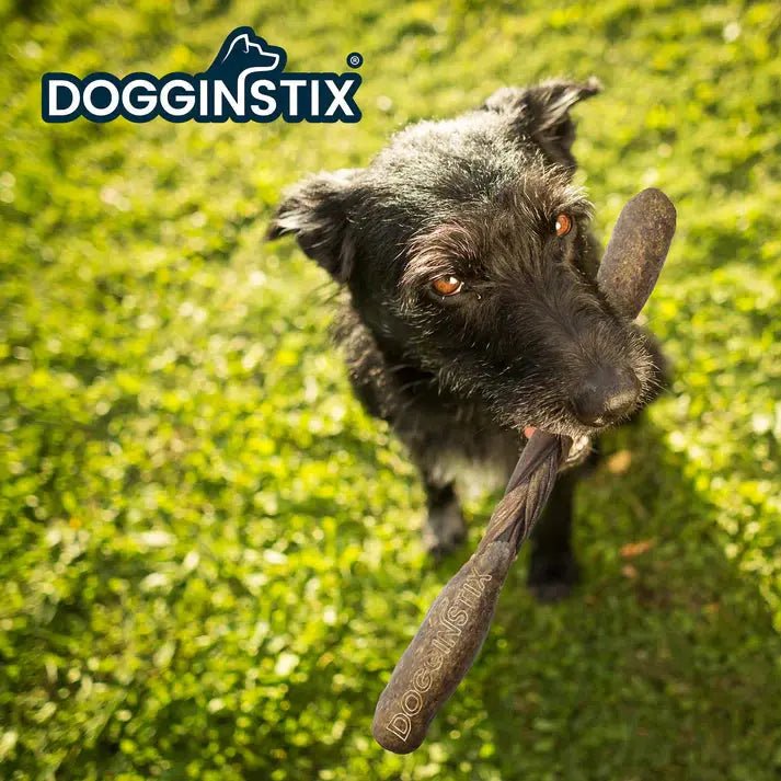 DogginStix Braided Lamb Collagen Barbell Dog Chew Treats Case of 30 - Talis Us