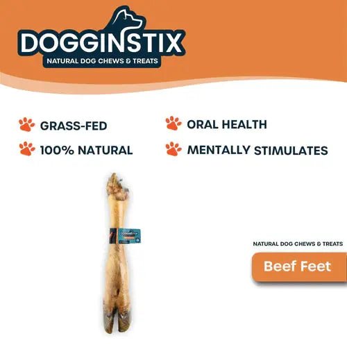 Dogginstix Odor Free Beef Feet - Beef Trotter Dog Chews Case of 20 - Talis Us