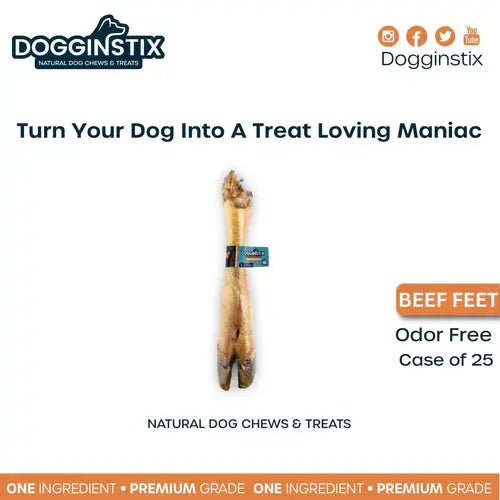 Dogginstix Odor Free Beef Feet - Beef Trotter Dog Chews Case of 20 - Talis Us