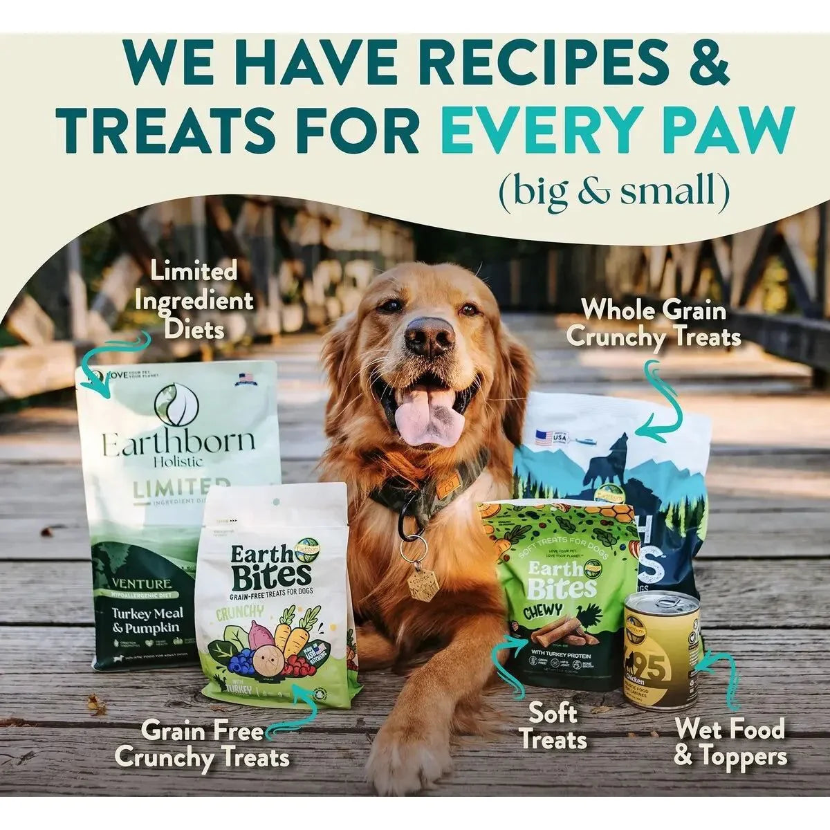 Earthborn Holistic Coastal Catch Herring Meal & Vegetables Grain - Free Dry Dog Food - Talis Us