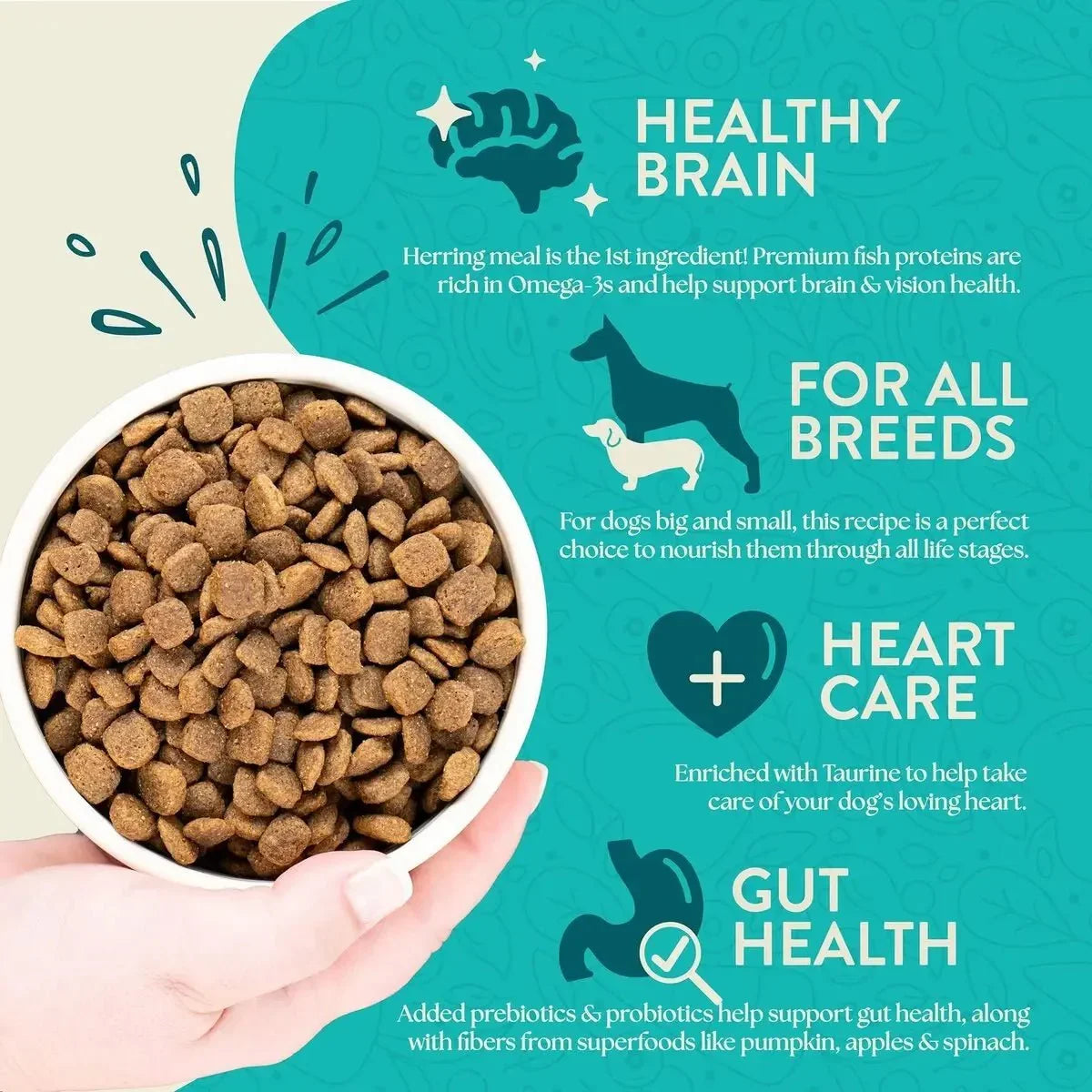 Earthborn Holistic Coastal Catch Herring Meal & Vegetables Grain - Free Dry Dog Food - Talis Us