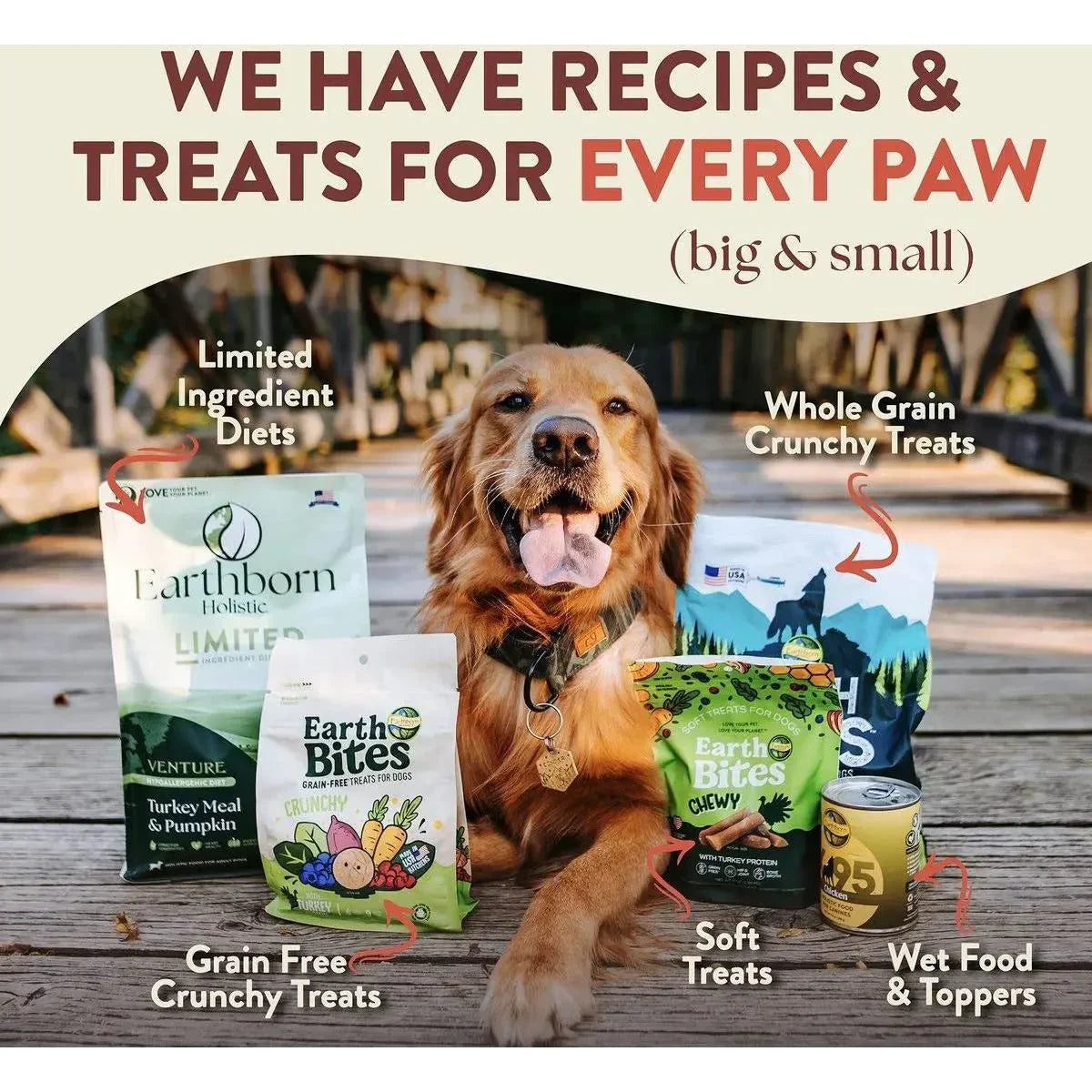 Earthborn Holistic Weight Control Chicken Meal & Vegetables Grain - Free Dry Dog Food - Talis Us