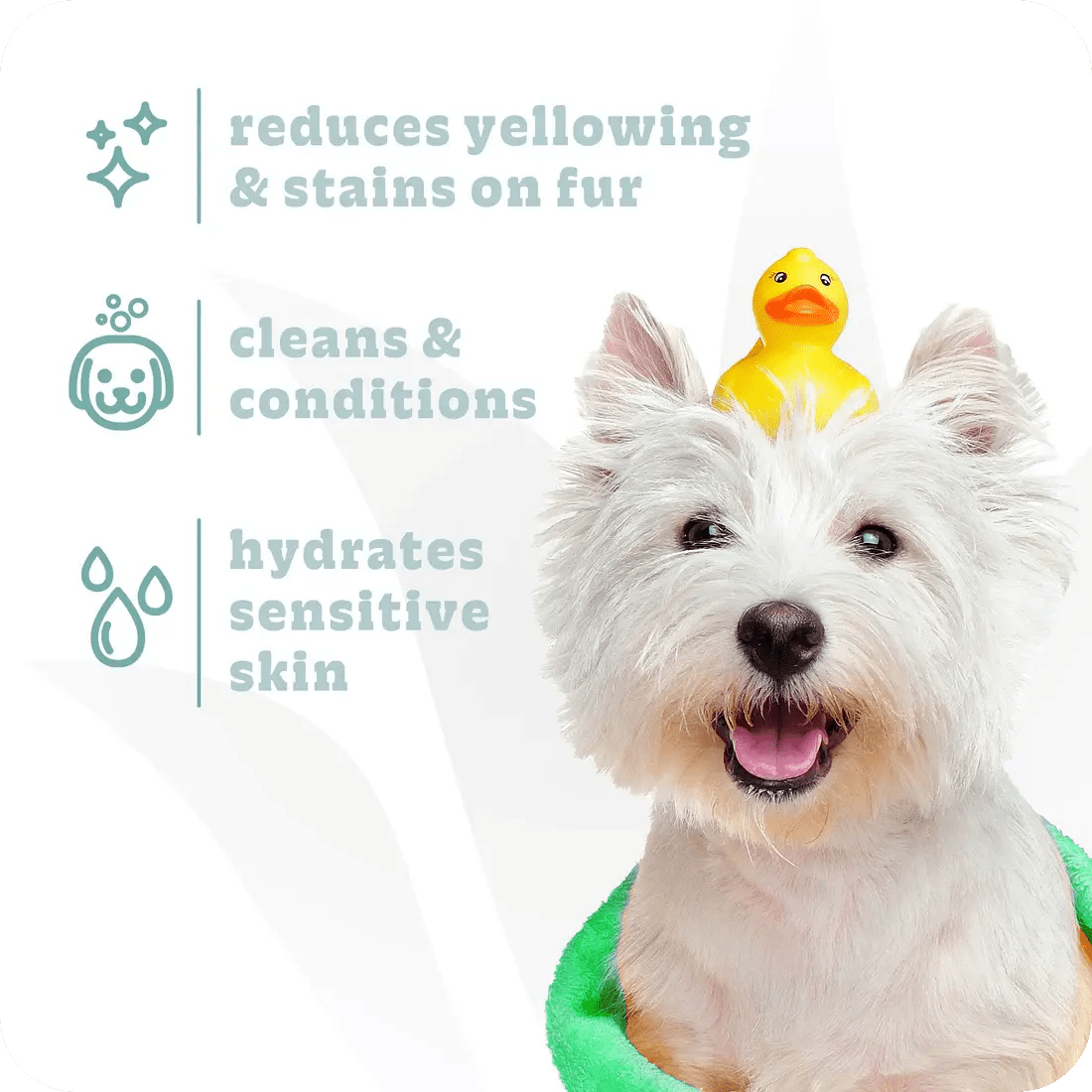 Espree 2in1 Bright White Dog Shampoo 20 oz - Talis Us