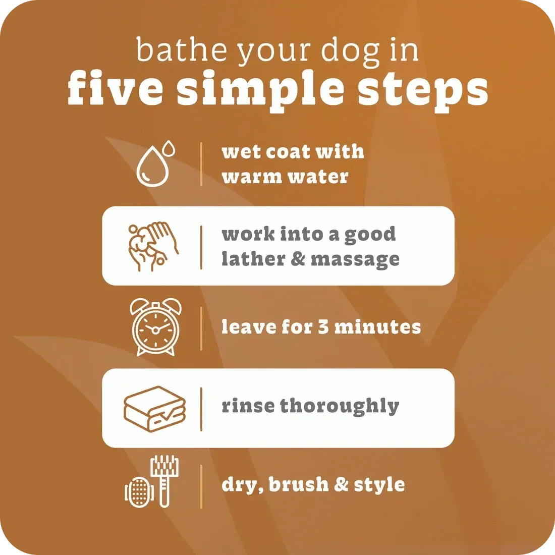 Espree 2in1 Wavy Curly Coat Dog Shampoo 20 oz - Talis Us