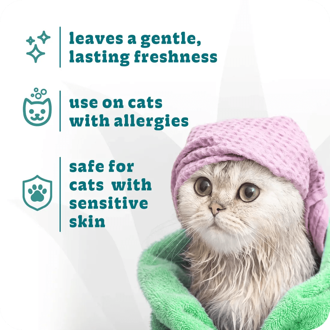 Espree Hypoallergenic Cat Shampoo 20 oz - Talis Us