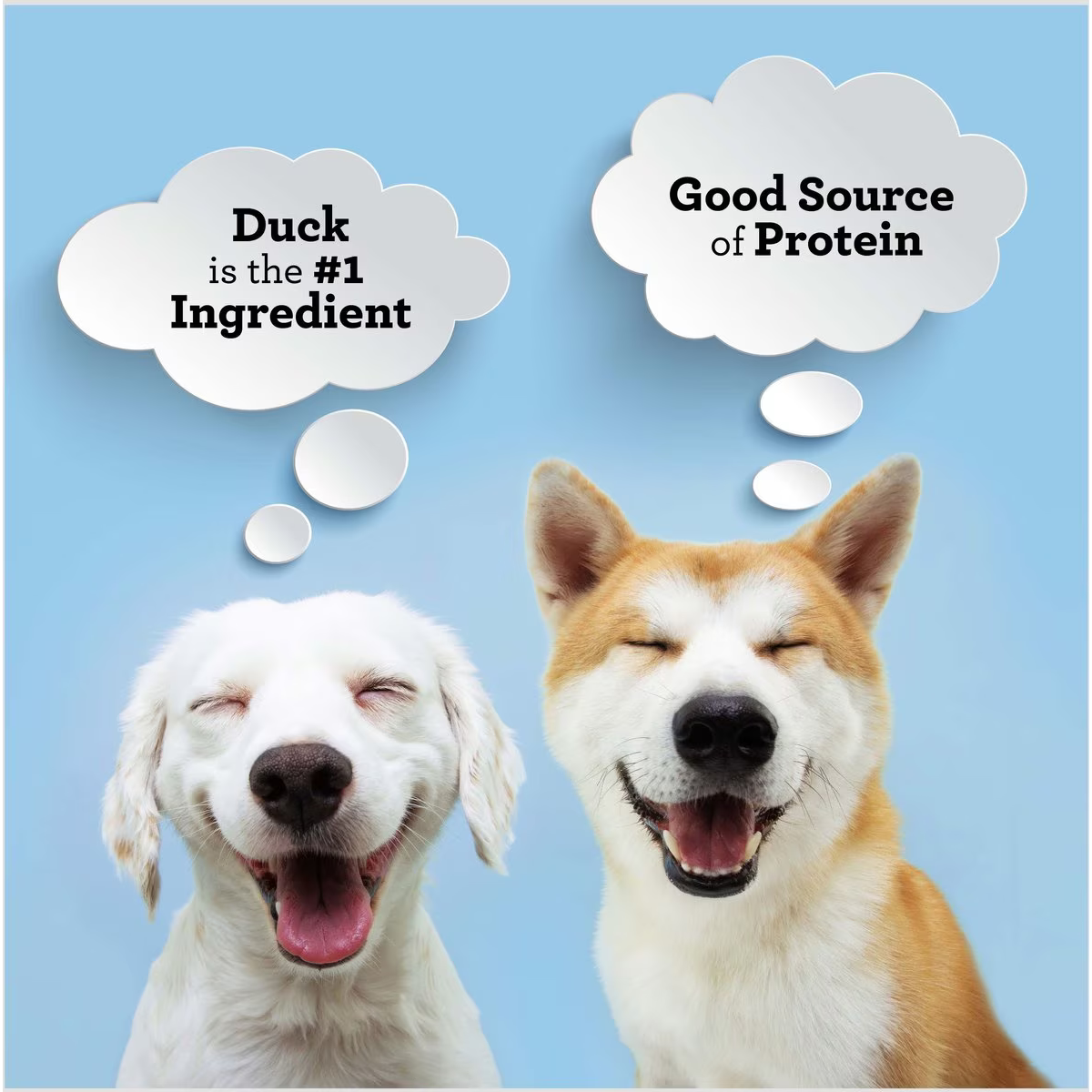 SmartBones Protein Rings Real Duck, Pumpkin & Flaxseed Dog Treats - Talis Us