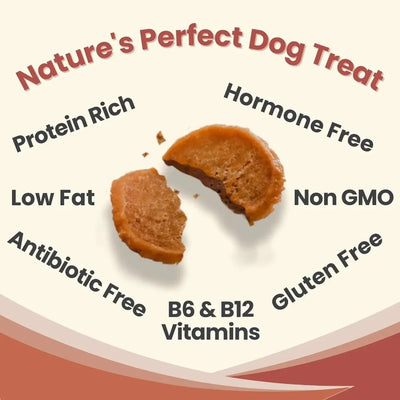 Farm To Pet Chicken Chips Single Ingredient Healthy Dog Treats - Talis Us