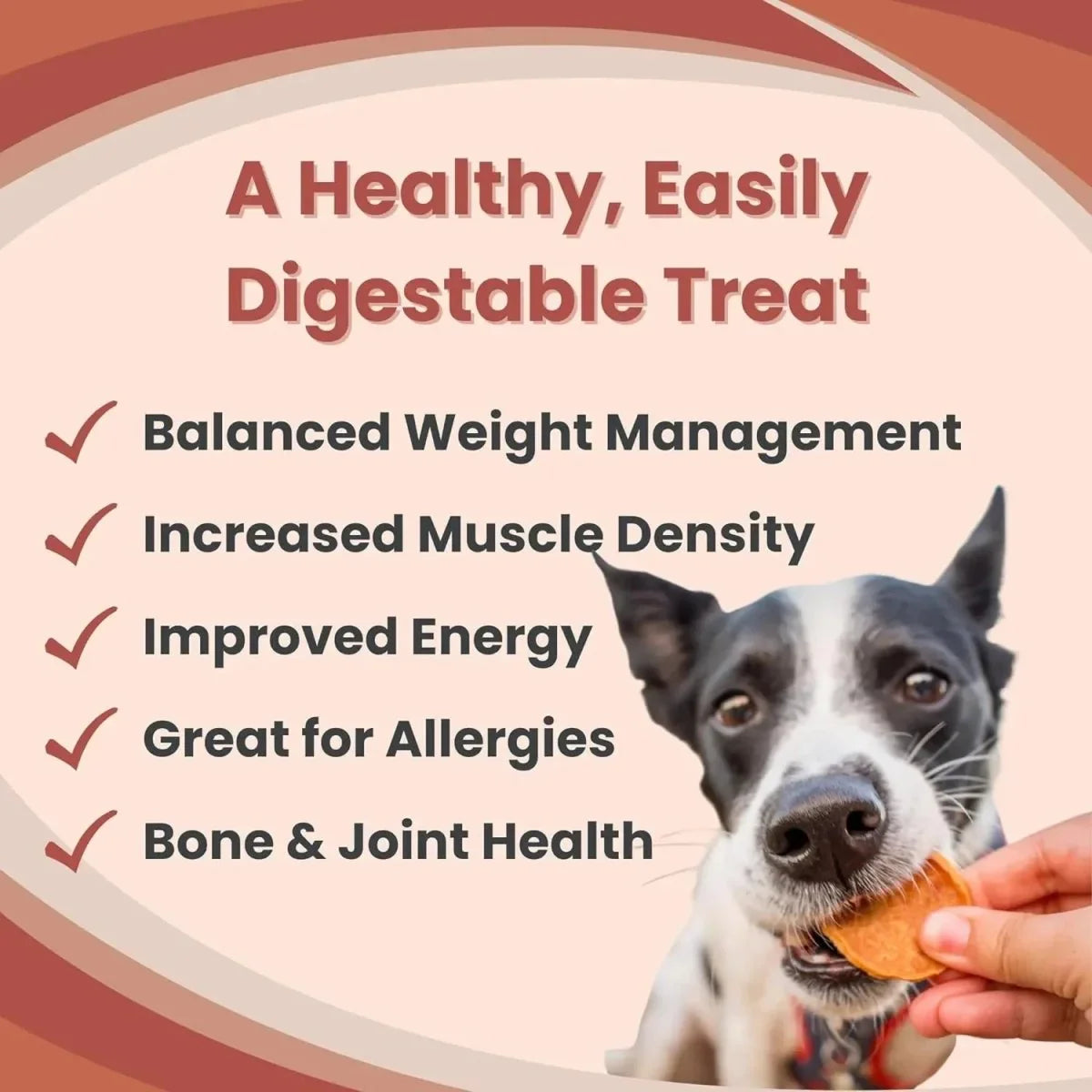 Farm To Pet Turkey Chips Single Ingredient Healthy Dog Treats - Talis Us