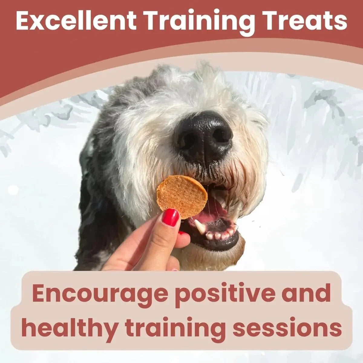 Farm To Pet Turkey Chips Single Ingredient Healthy Dog Treats - Talis Us
