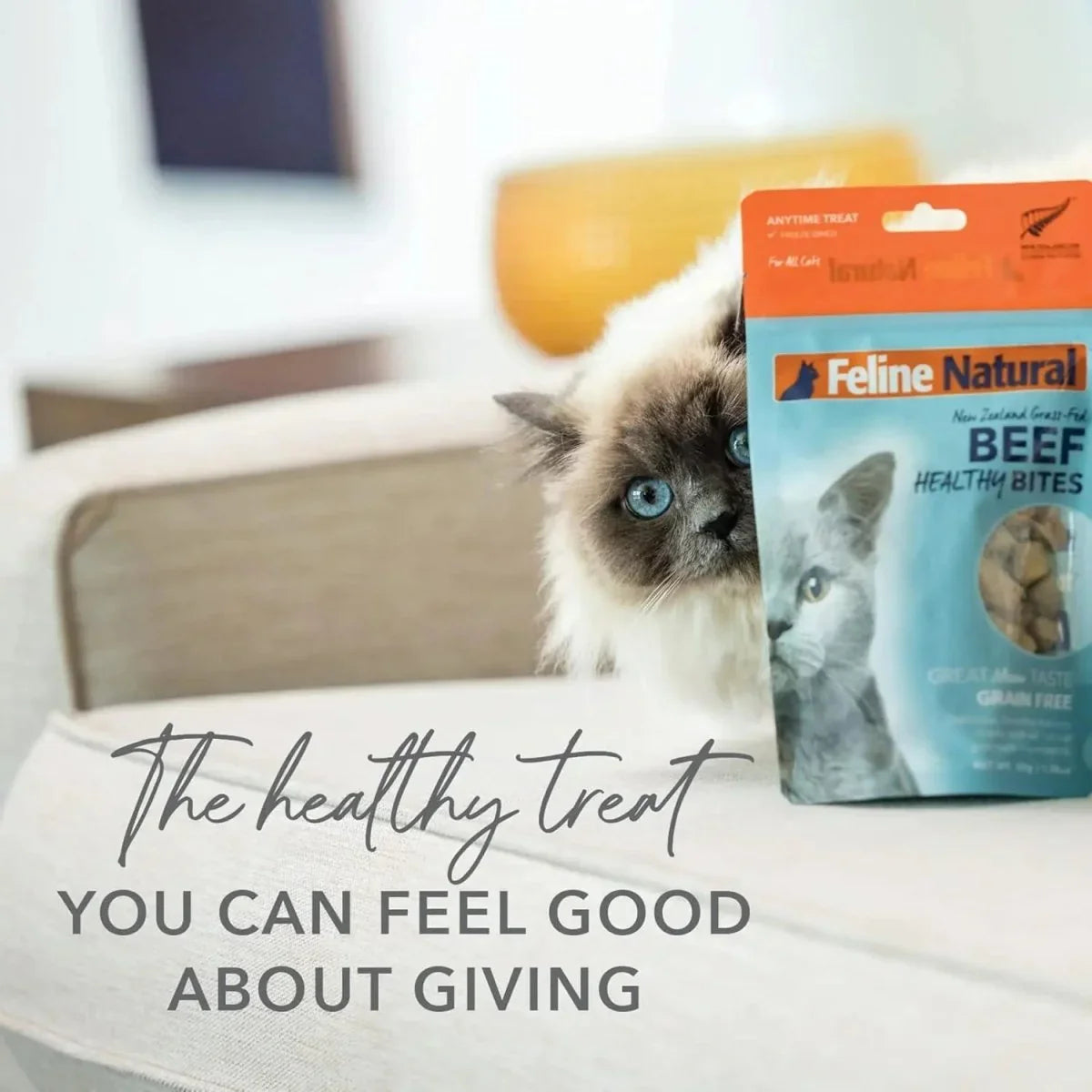 Feline Natural Beef Healthy Bites Grain - Free Freeze - Dried Cat Treats 1.76oz - Talis Us