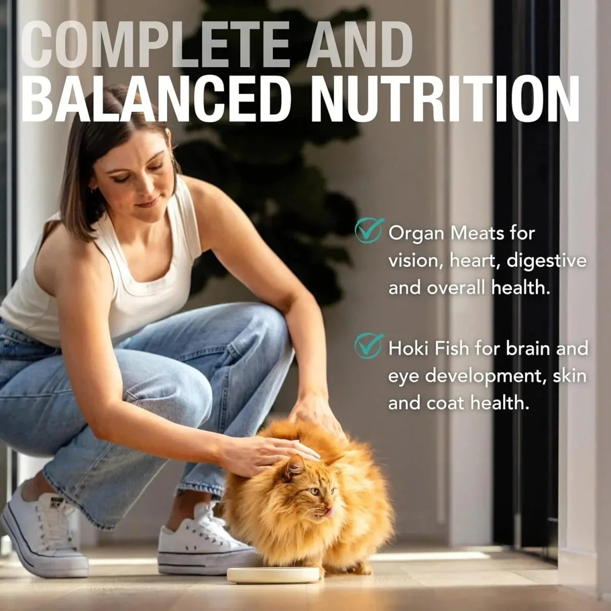 Feline Natural Beef & Hoki Feast Grain - Free Canned Cat Food - Talis Us