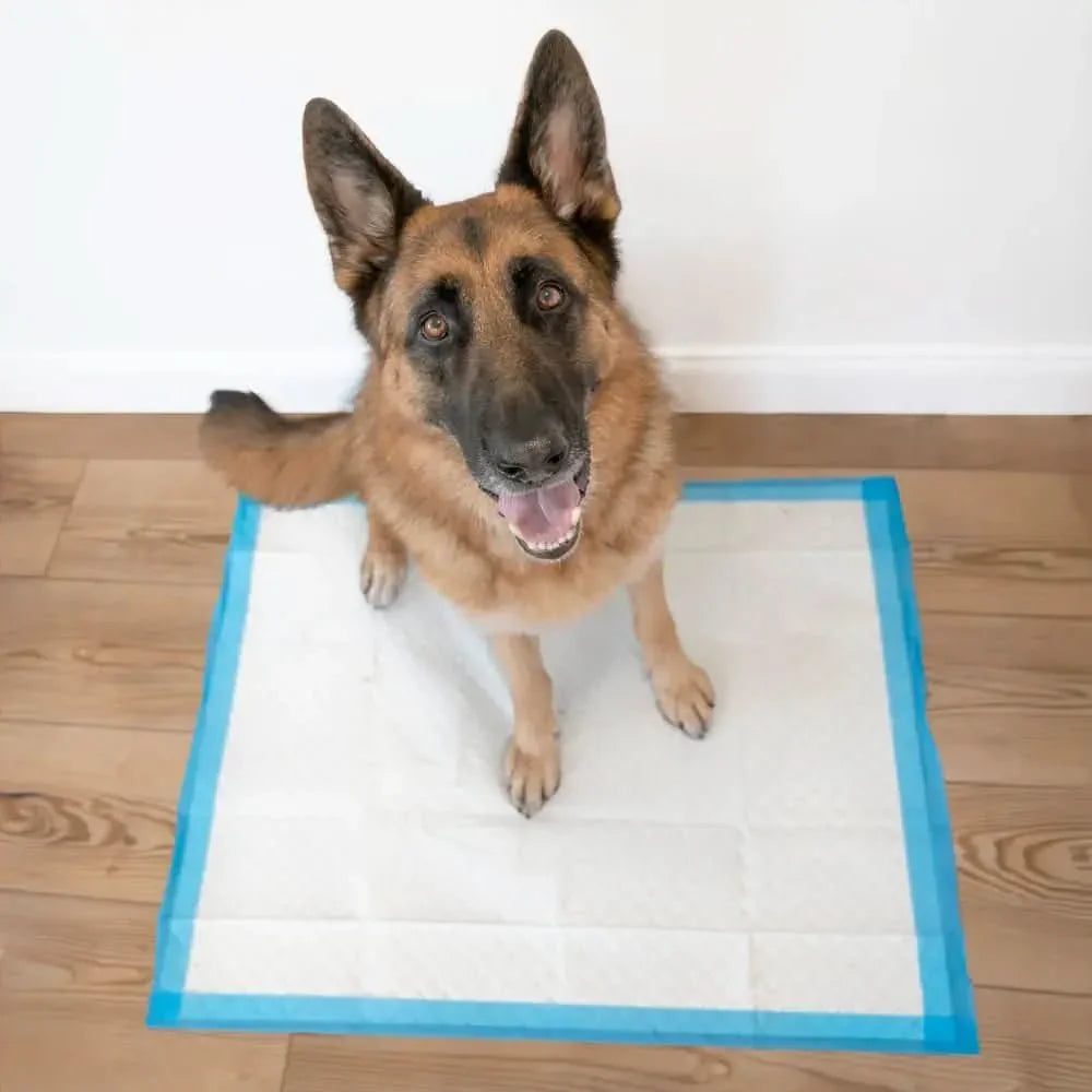 Four Paws Wee - Wee Superior Performance Gigantic Dog Pee Pads with Runoff Edge Guard 28 in X 34 in (40 ct) - Talis Us