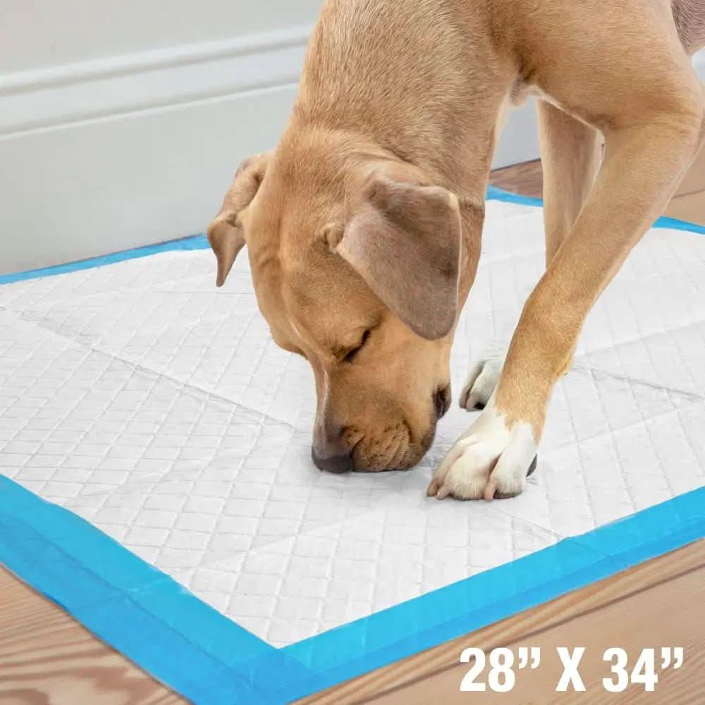 Four Paws Wee - Wee Superior Performance Gigantic Dog Pee Pads with Runoff Edge Guard 28 in X 34 in (40 ct) - Talis Us