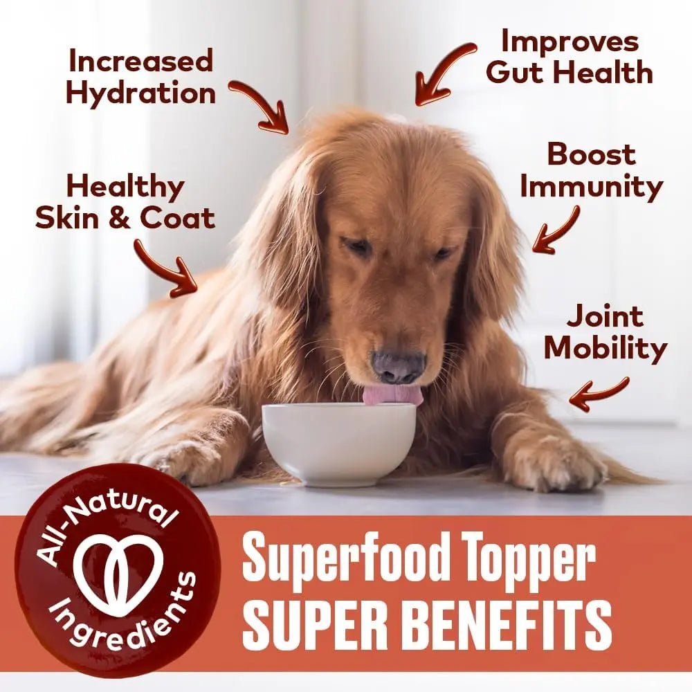 Furvor Beef Bone Broth Healthy Dog Food Topper - Talis Us