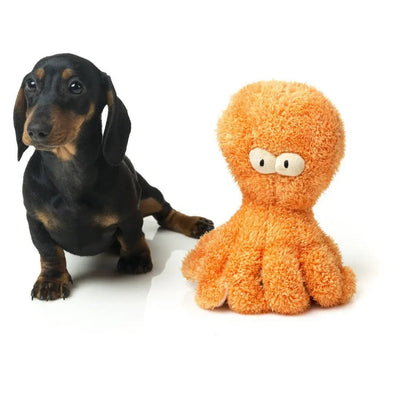 FuzzYard Dog Toy Neighborhood Nasties Little Sir Legs - A - Lot The Octopus - Talis Us
