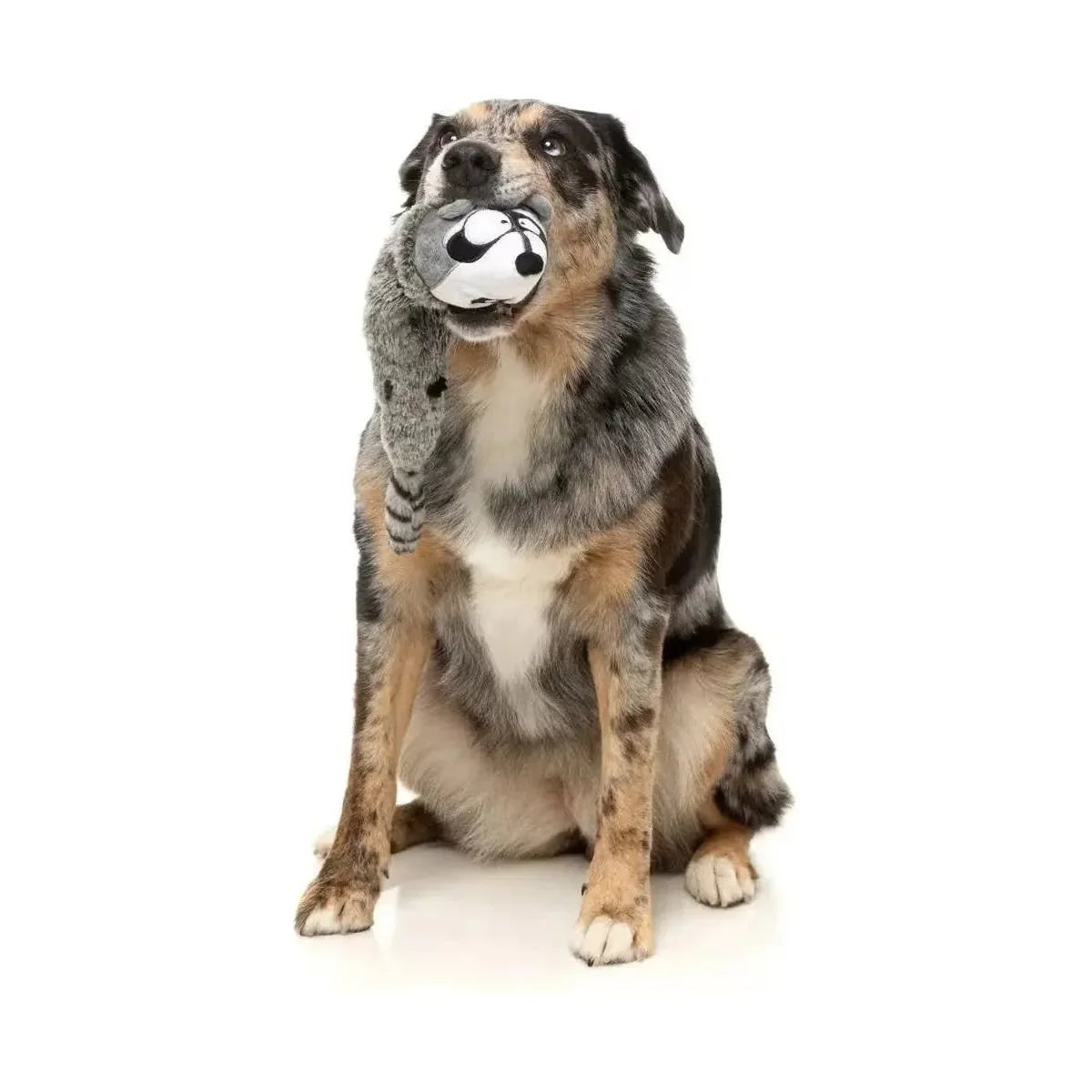 FuzzYard Run Along Raccoon Plush Dog Toy - Talis Us