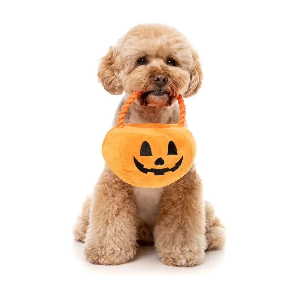 FuzzYard Trick or Treat Pumpkin Basket Plush Dog Toy - Talis Us