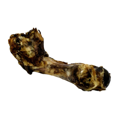 Gaines Family Farmstead Beef Humerus Bone for Dogs - Talis Us