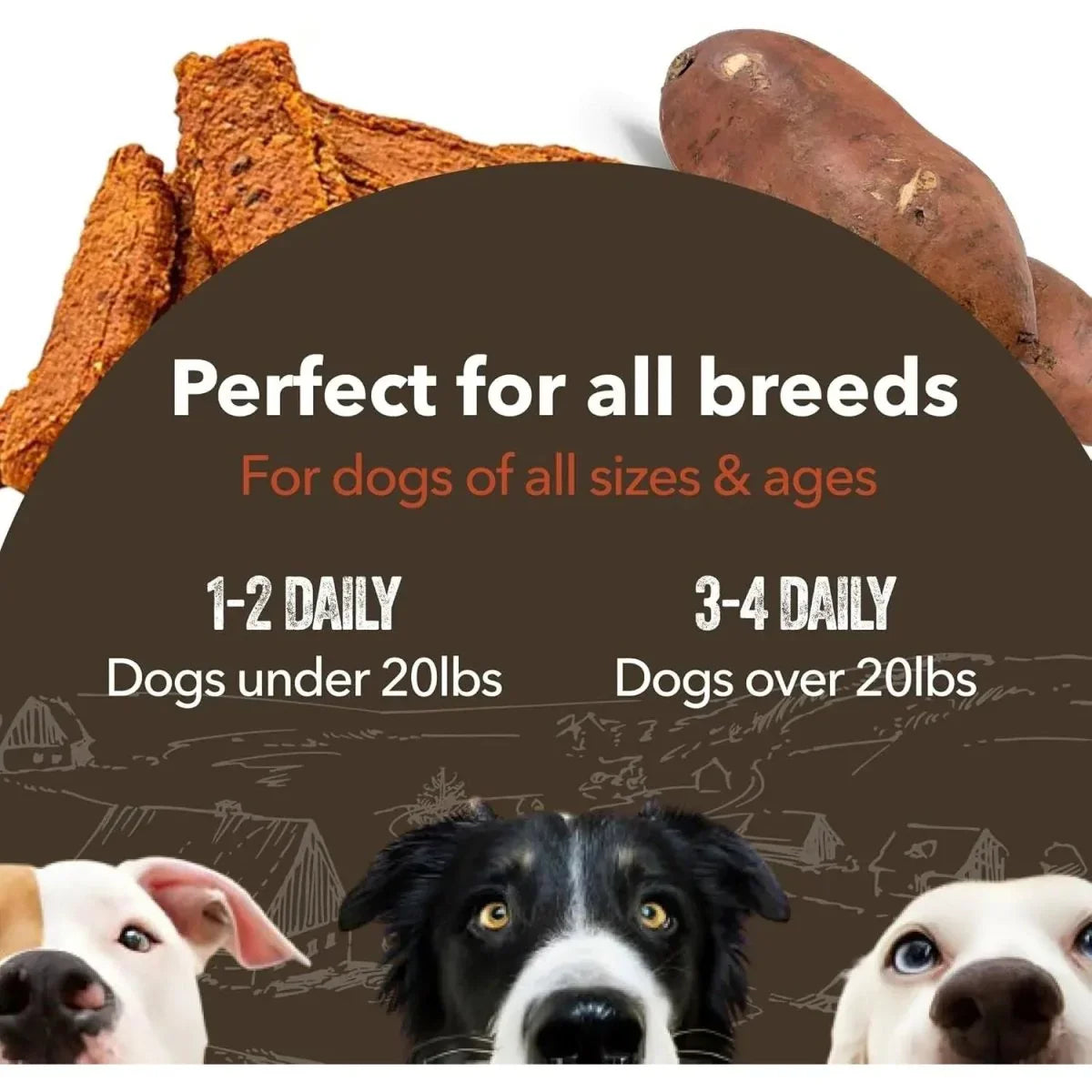 Gaines Family Sweet Potato & Chicken Fillets Dog Treats 8oz - Talis Us