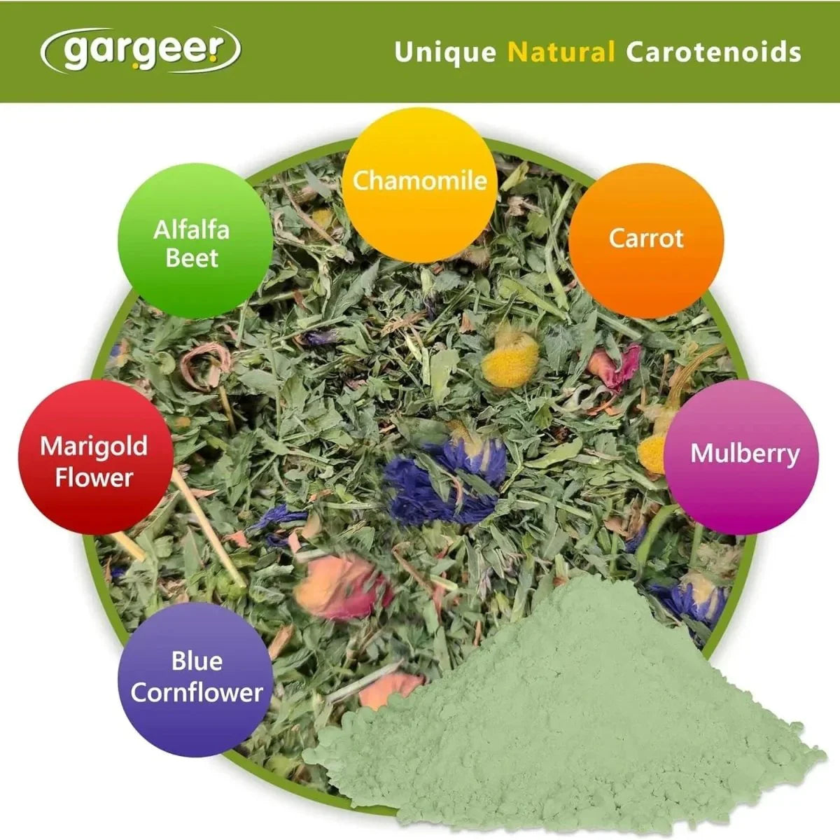 Gargeer All Reptiles Color Enhancer Reptile Food Supplement 2oz - Talis Us