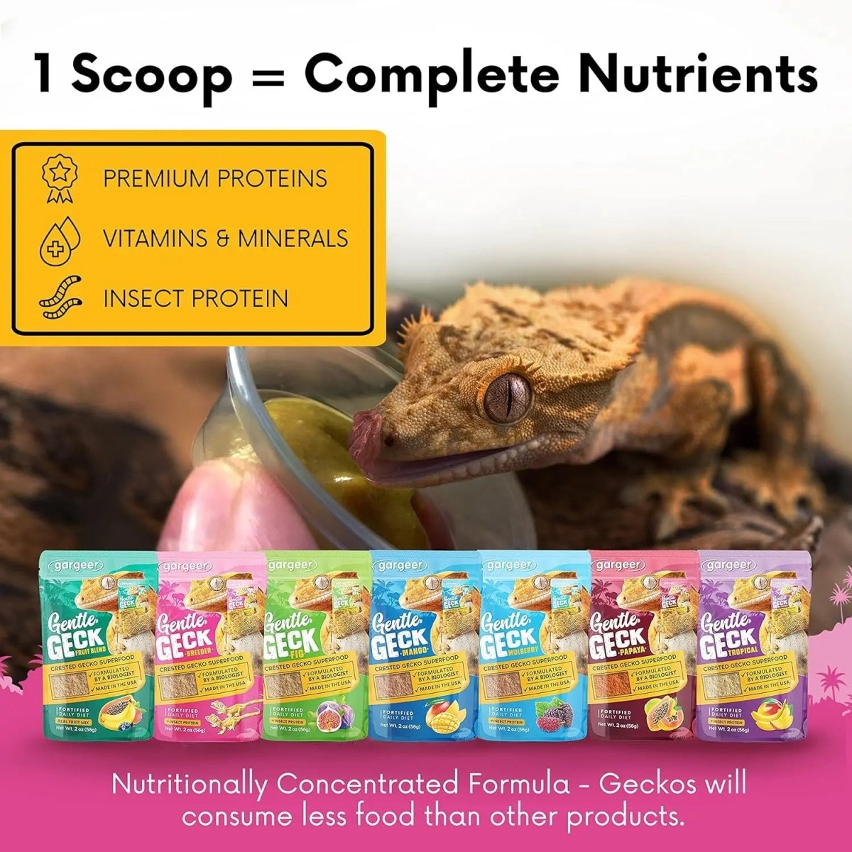 Gargeer Complete Breeder Crested Gecko Food - Talis Us