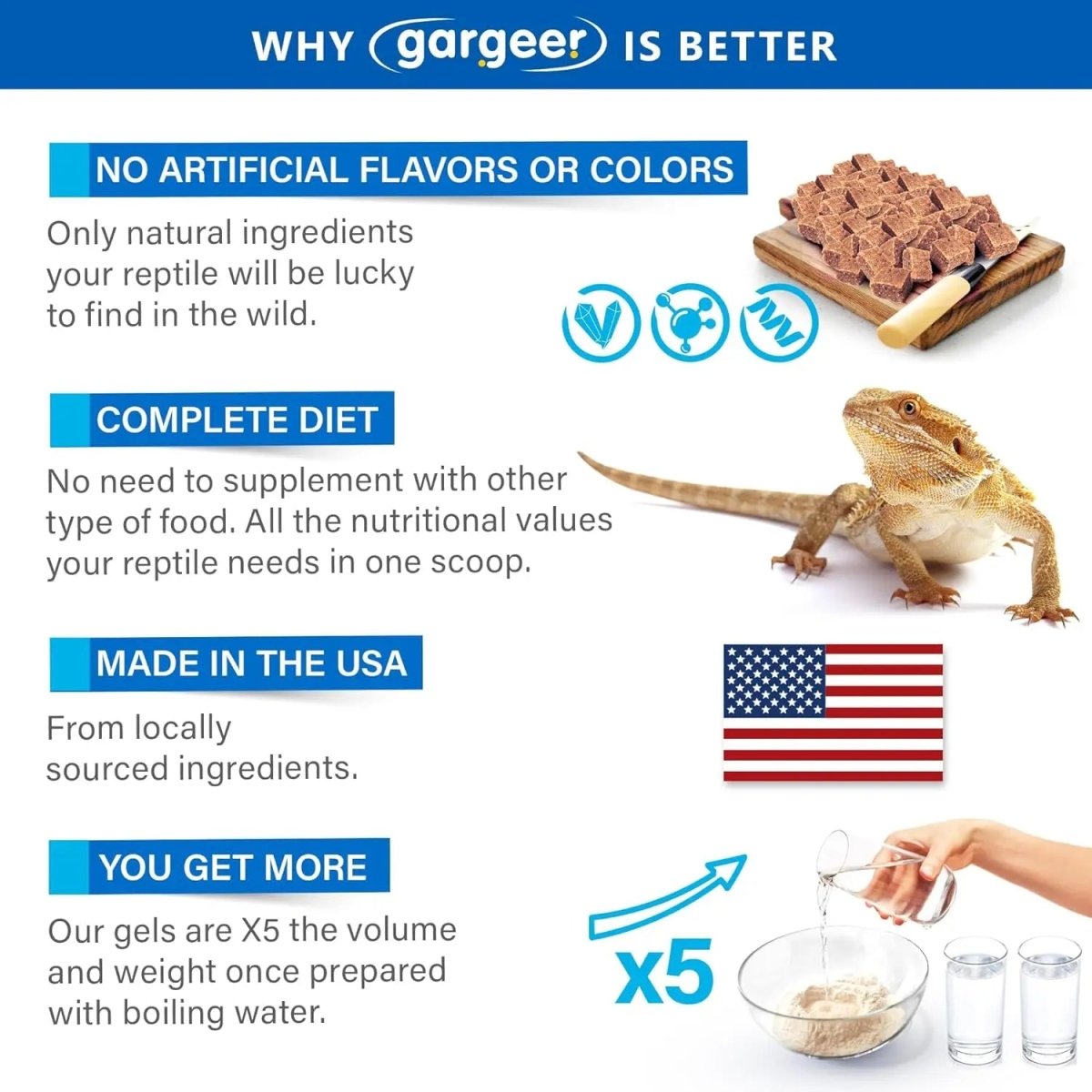 Gargeer Complete Gel Diet Bearded Dragon Food - Talis Us