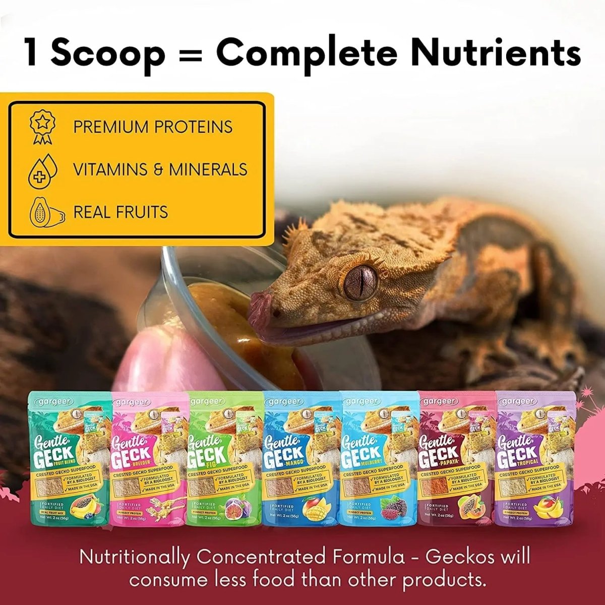 Gargeer Complete Papaya Crested Gecko Food - Talis Us