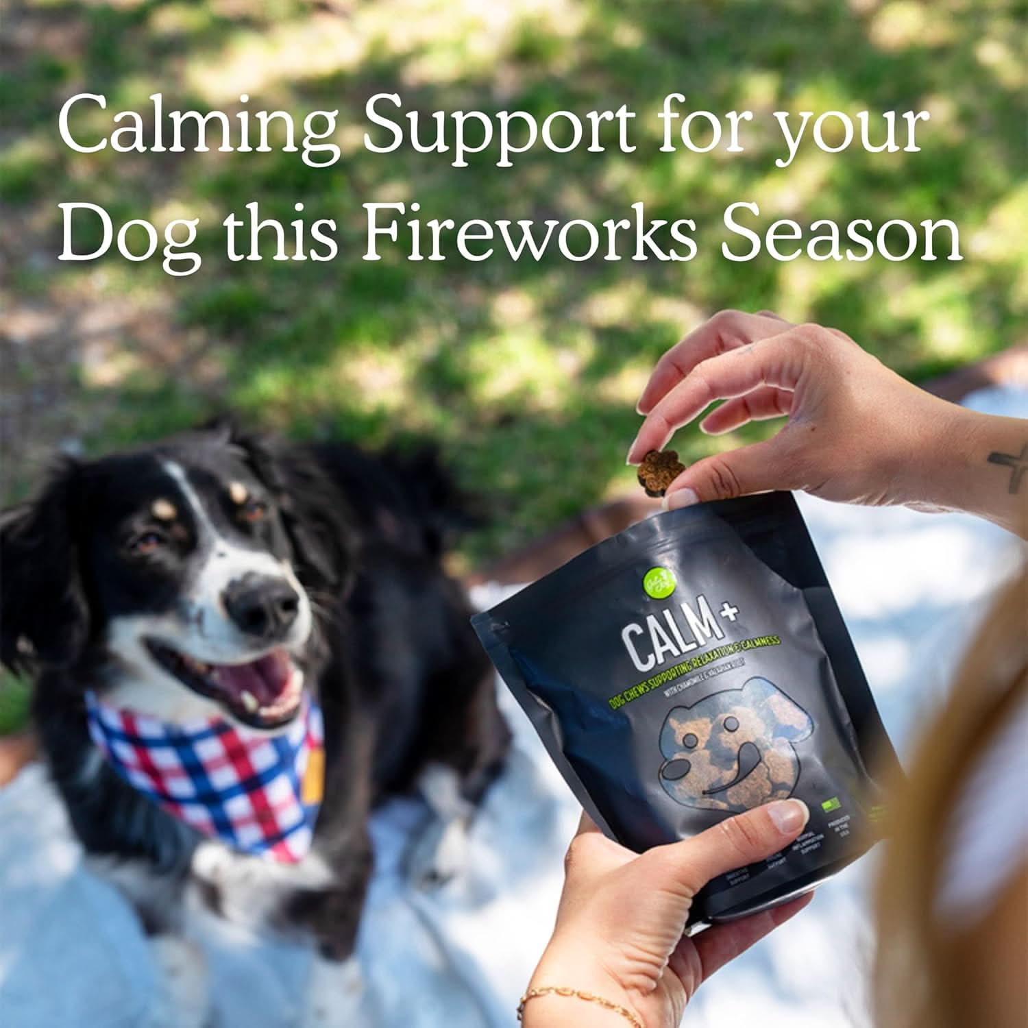Get Joy Calming Supplements for Dogs to help them cope during fireworks season