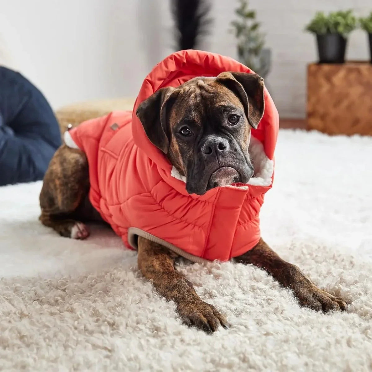 GF Pet Elasto - Fit Nordic InFiber Dog Parka - Talis Us