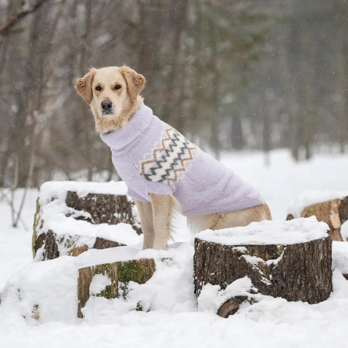 GF Pet Fuzzy Dog Sweater - Talis Us