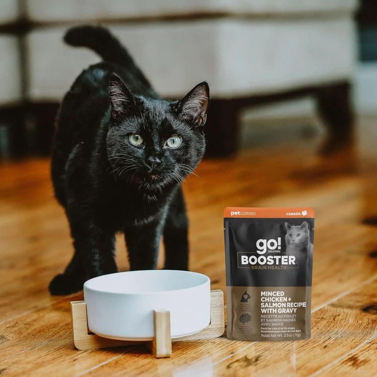 Go! Solutions Booster Brain Health Minced Chicken & Salmon with Gravy Wet Cat Food 24ea/2.5 oz - Talis Us