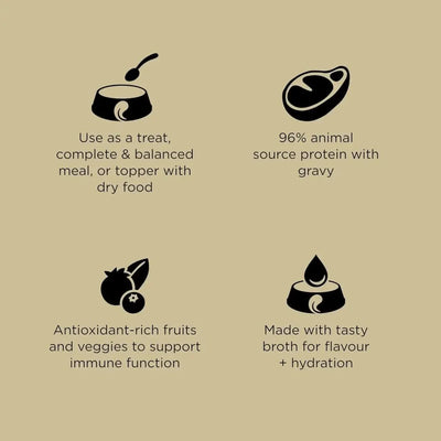 Go! Solutions Carnivore Grain - Free Shredded Lamb & Wild Boar Recipe Dog Food 12ea/12.5 oz - Talis Us