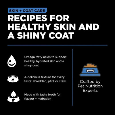 Go! Solutions Skin + Coat Care Shredded Chicken Dog Food 12ea/12.5 oz - Talis Us