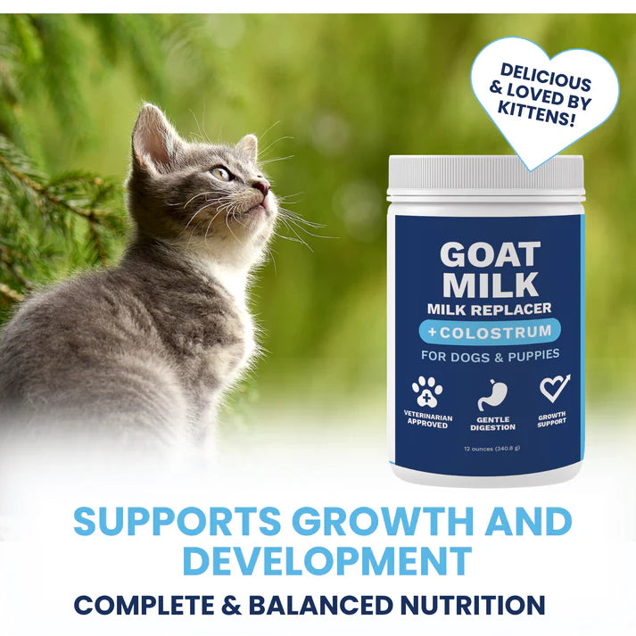 Under the Weather Goat Milk Replacer for Kittens supports growth with balanced nutrition and gentle digestion