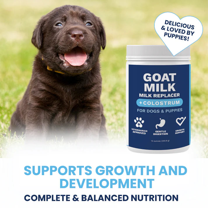 Under the Weather Goat Milk Replacer for Puppies supports growth and development with complete nutrition